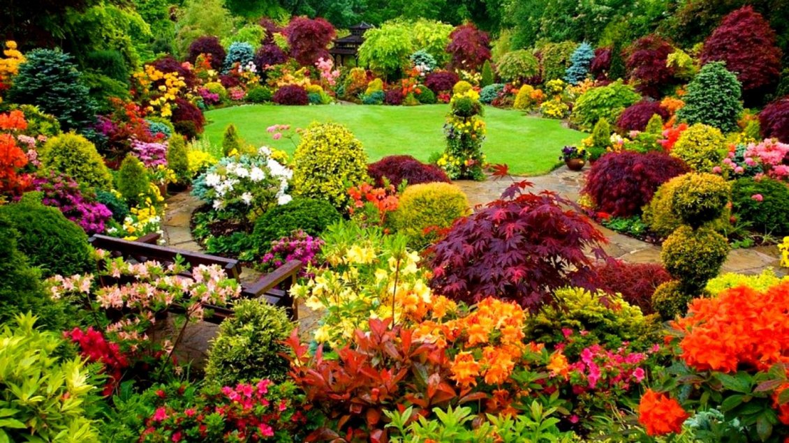 Hoe maak je een ontspannende tuin met bloemen
